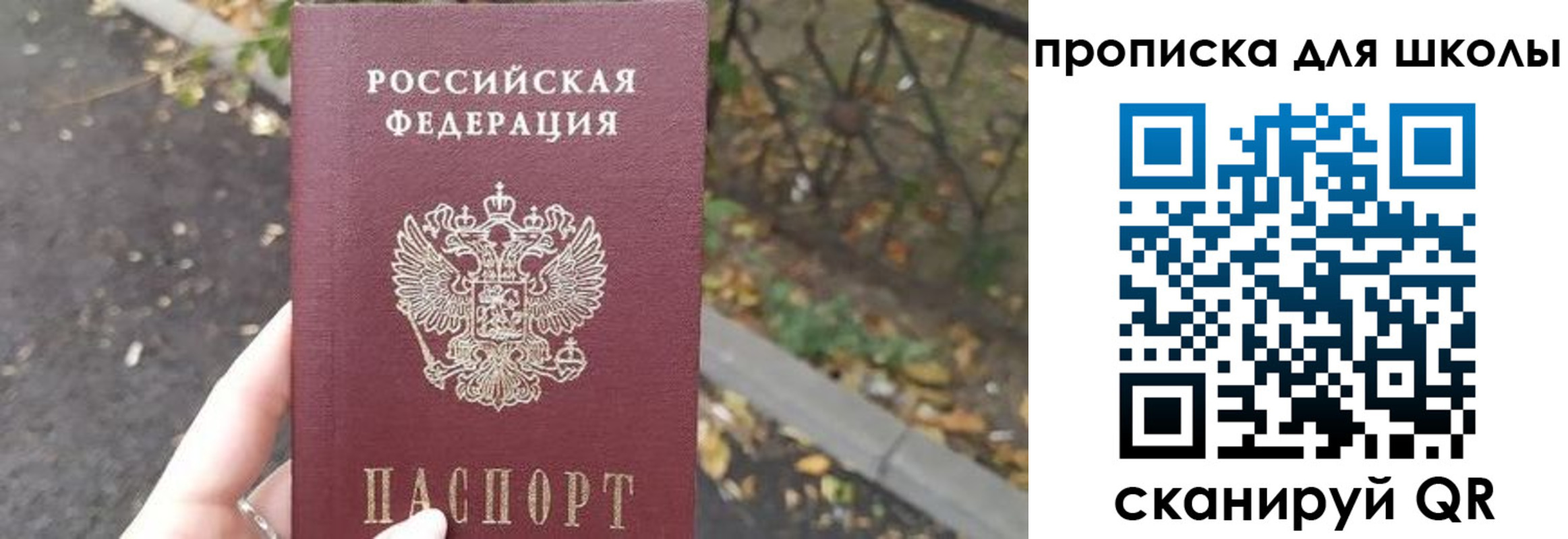 временная регистрация гарантия в Клинцах